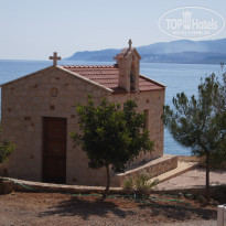 фото из отзыва ID 1354653