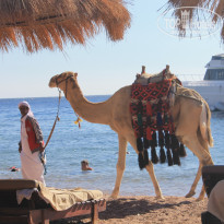 фото из отзыва ID 1354677