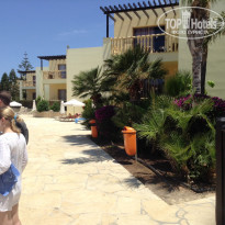 фото из отзыва ID 1354761