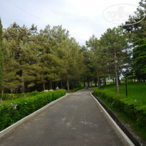 фото из отзыва ID 1354787