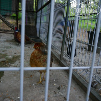 фото из отзыва ID 1354787