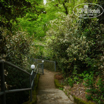 фото из отзыва ID 1354787