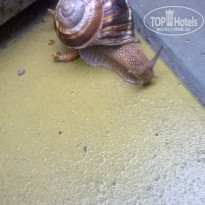 фото из отзыва ID 1354787