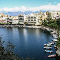 фото из отзыва ID 1354833