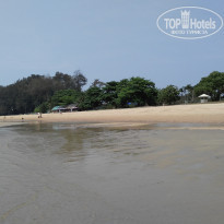 фото из отзыва ID 1354883