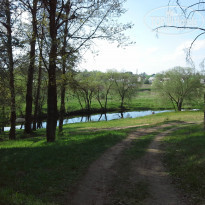 фото из отзыва ID 1354921