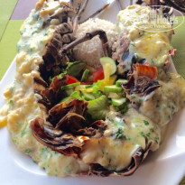 фото из отзыва ID 1354847