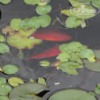 фото из отзыва ID 1354999