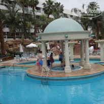 фото из отзыва ID 1354999