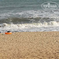 фото из отзыва ID 1355097