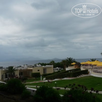 фото из отзыва ID 1355349