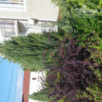 фото из отзыва ID 1355384