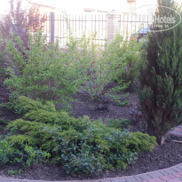 фото из отзыва ID 1355384