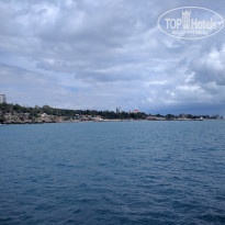 фото из отзыва ID 1355482