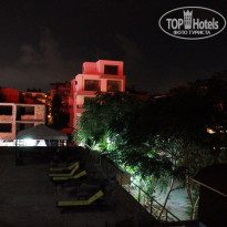 фото из отзыва ID 1355486