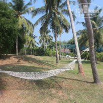 фото из отзыва ID 1353328