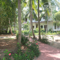 фото из отзыва ID 1353328