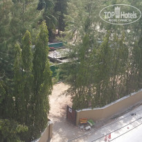 фото из отзыва ID 1355512