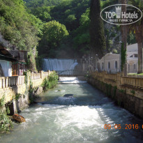 фото из отзыва ID 1355572