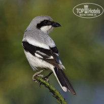 фото из отзыва ID 1355608