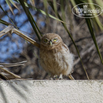 фото из отзыва ID 1355608