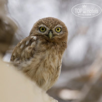 фото из отзыва ID 1355608