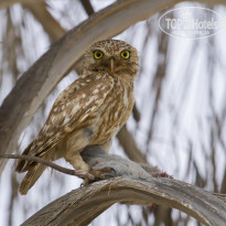 фото из отзыва ID 1355608