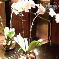 фото из отзыва ID 1355618