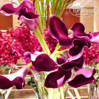 фото из отзыва ID 1355618