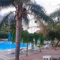 фото из отзыва ID 1355676