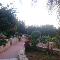 фото из отзыва ID 1355676