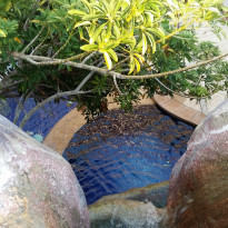 фото из отзыва ID 1355757