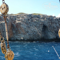 фото из отзыва ID 1355806