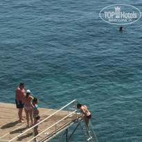 фото из отзыва ID 1355846