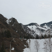 фото из отзыва ID 1355825