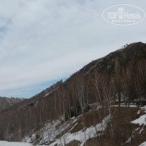 фото из отзыва ID 1355825