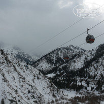 фото из отзыва ID 1355825