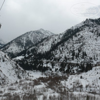 фото из отзыва ID 1355825