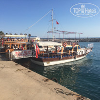 фото из отзыва ID 1355857