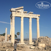 фото из отзыва ID 1355857