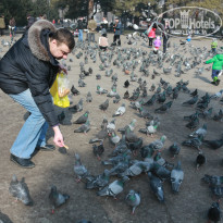 фото из отзыва ID 1355825