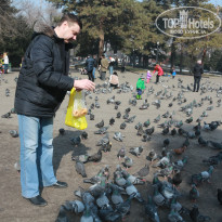 фото из отзыва ID 1355825