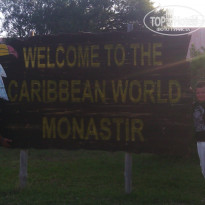 фото из отзыва ID 1355911