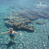 фото из отзыва ID 1356047