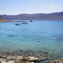 фото из отзыва ID 1356055