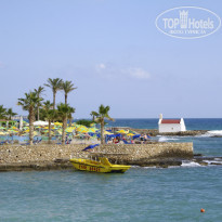 фото из отзыва ID 1356055