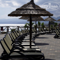 фото из отзыва ID 1356055