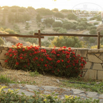 фото из отзыва ID 1356055