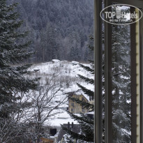 фото из отзыва ID 1356104