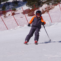 фото из отзыва ID 1356122